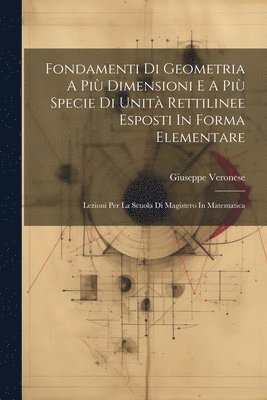 Fondamenti Di Geometria A Pi Dimensioni E A Pi Specie Di Unit Rettilinee Esposti In Forma Elementare 1