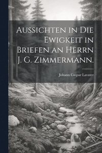 bokomslag Aussichten in die Ewigkeit in Briefen an Herrn J. G. Zimmermann.