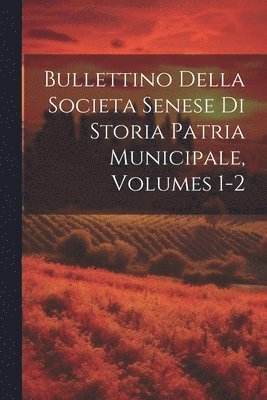 bokomslag Bullettino Della Societa Senese Di Storia Patria Municipale, Volumes 1-2