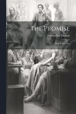 bokomslag Promise; A Play In One Act