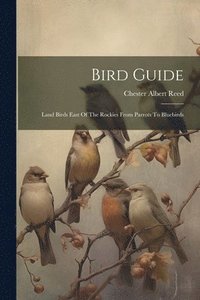 bokomslag Bird Guide