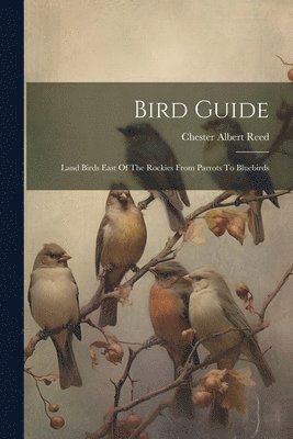 Bird Guide 1