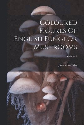 bokomslag Coloured Figures Of English Fungi Or Mushrooms; Volume 2