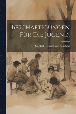 Beschäftigungen für die Jugend., Häftad