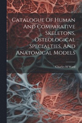 bokomslag Catalogue Of Human And Comparative Skeletons, Osteological Specialties, And Anatomical Models