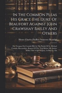 bokomslag In The Common Pleas His Grace The Duke Of Beaufort Against John Crawshay Bailey And Others