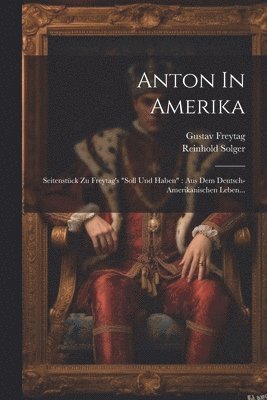 bokomslag Anton In Amerika
