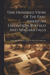 bokomslag One Hundred Views Of The Pan-american Exposition, Buffalo And Niagara Falls; With A Brief Descriptive Guide To These Great Attractions