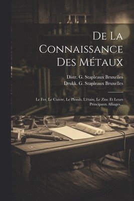 bokomslag De La Connaissance Des Mtaux