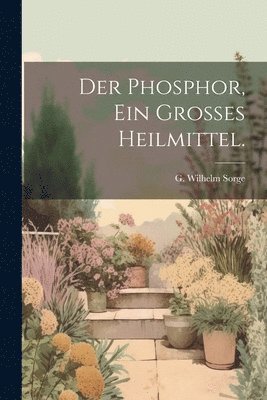 bokomslag Der Phosphor, ein grosses Heilmittel.