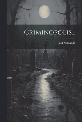 bokomslag Criminopolis...