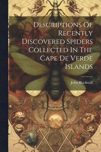 bokomslag Descriptions Of Recently Discovered Spiders Collected In The Cape De Verde Islands