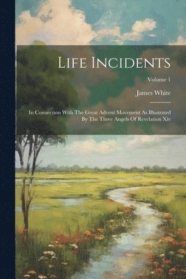 Life Incidents