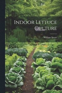 bokomslag Indoor Lettuce Culture