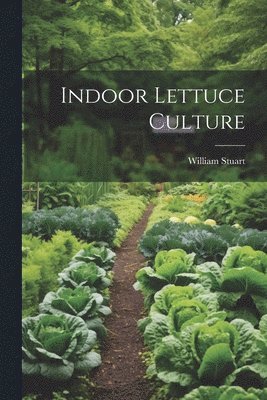 Indoor Lettuce Culture 1