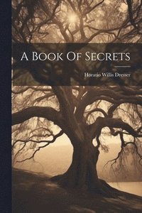 bokomslag A Book Of Secrets