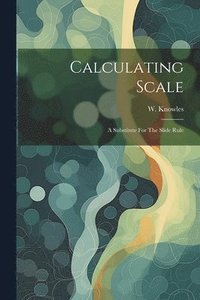 bokomslag Calculating Scale