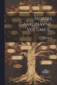 bokomslag Norske Gaardnavne, Volume 6...