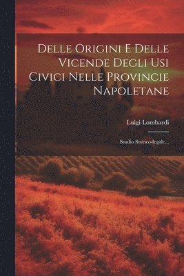 bokomslag Delle Origini E Delle Vicende Degli Usi Civici Nelle Provincie Napoletane