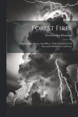 Forest Fires 1