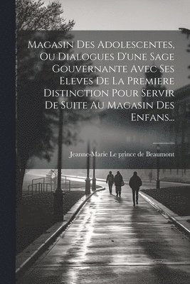 bokomslag Magasin Des Adolescentes, Ou Dialogues D'une Sage Gouvernante Avec Ses Eleves De La Premiere Distinction Pour Servir De Suite Au Magasin Des Enfans...