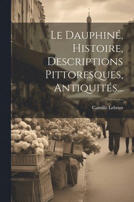 bokomslag Dauphiné, Histoire, Descriptions Pittoresques, Antiquités...
