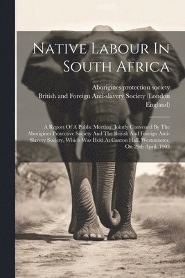 bokomslag Native Labour In South Africa