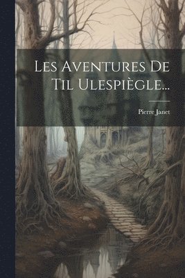 bokomslag Les Aventures De Til Ulespiègle...