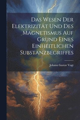 bokomslag Das Wesen Der Elektrizitt Und Des Magnetismus Auf Grund Eines Einheitlichen Substanzbegriffes