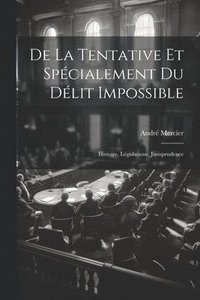 bokomslag De La Tentative Et Spcialement Du Dlit Impossible