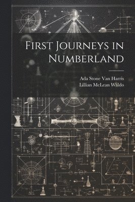 bokomslag First Journeys in Numberland