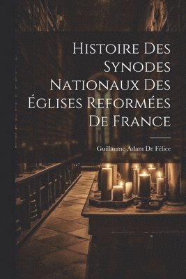 bokomslag Histoire Des Synodes Nationaux Des glises Reformes De France