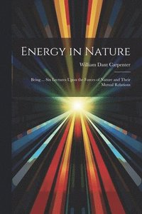 bokomslag Energy in Nature