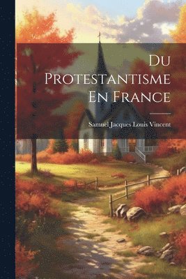 bokomslag Du Protestantisme En France