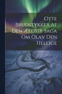 bokomslag Otte Brudstykker Af Den Ældste Saga Om Olav Den Hellige