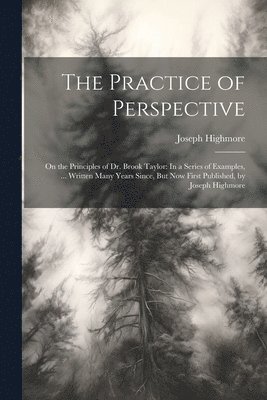 The Practice of Perspective 1