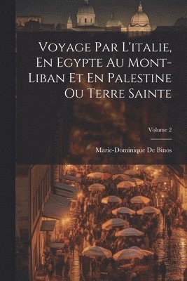 bokomslag Voyage Par L'italie, En Egypte Au Mont-Liban Et En Palestine Ou Terre Sainte; Volume 2