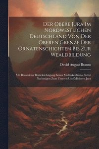 bokomslag Der Obere Jura Im Nordwestlichen Deutschland Von Der Oberen Grenze Der Ornatenschichten Bis Zur Wealdbildung