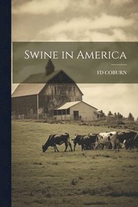 bokomslag Swine in America