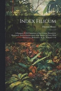 bokomslag Index Filicum