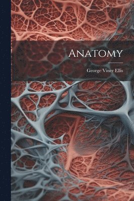 Anatomy 1