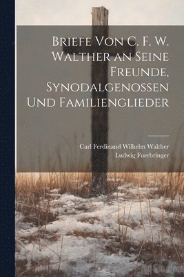 bokomslag Briefe Von C. F. W. Walther an Seine Freunde, Synodalgenossen Und Familienglieder