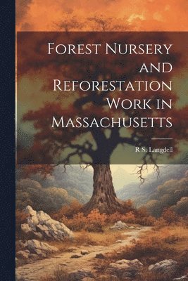 bokomslag Forest Nursery and Reforestation Work in Massachusetts
