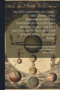 bokomslag Meyer's Universum, Oder, Abbildung Und Beschreibung Des Sehenswerthesten Und Merkwürdigsten Der Natur Und Kunst Auf Der Ganzen Erde, Zehnter Band