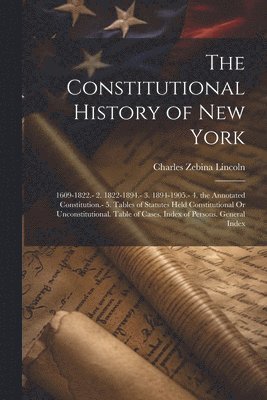 bokomslag The Constitutional History of New York