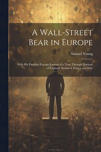 bokomslag A Wall-Street Bear in Europe