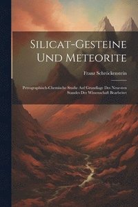 bokomslag Silicat-Gesteine Und Meteorite