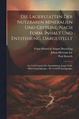 bokomslag Lagerstätten Der Nutzbaren Mineralien Und Gesteine, Nach Form, Inhalt Und Entstehung, Dargestellt