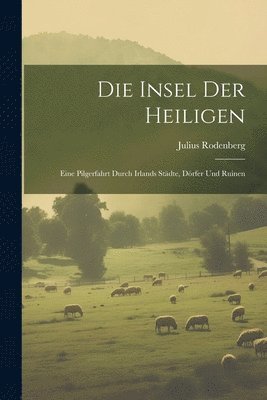 bokomslag Die Insel Der Heiligen