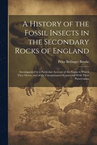 bokomslag A History of the Fossil Insects in the Secondary Rocks of England